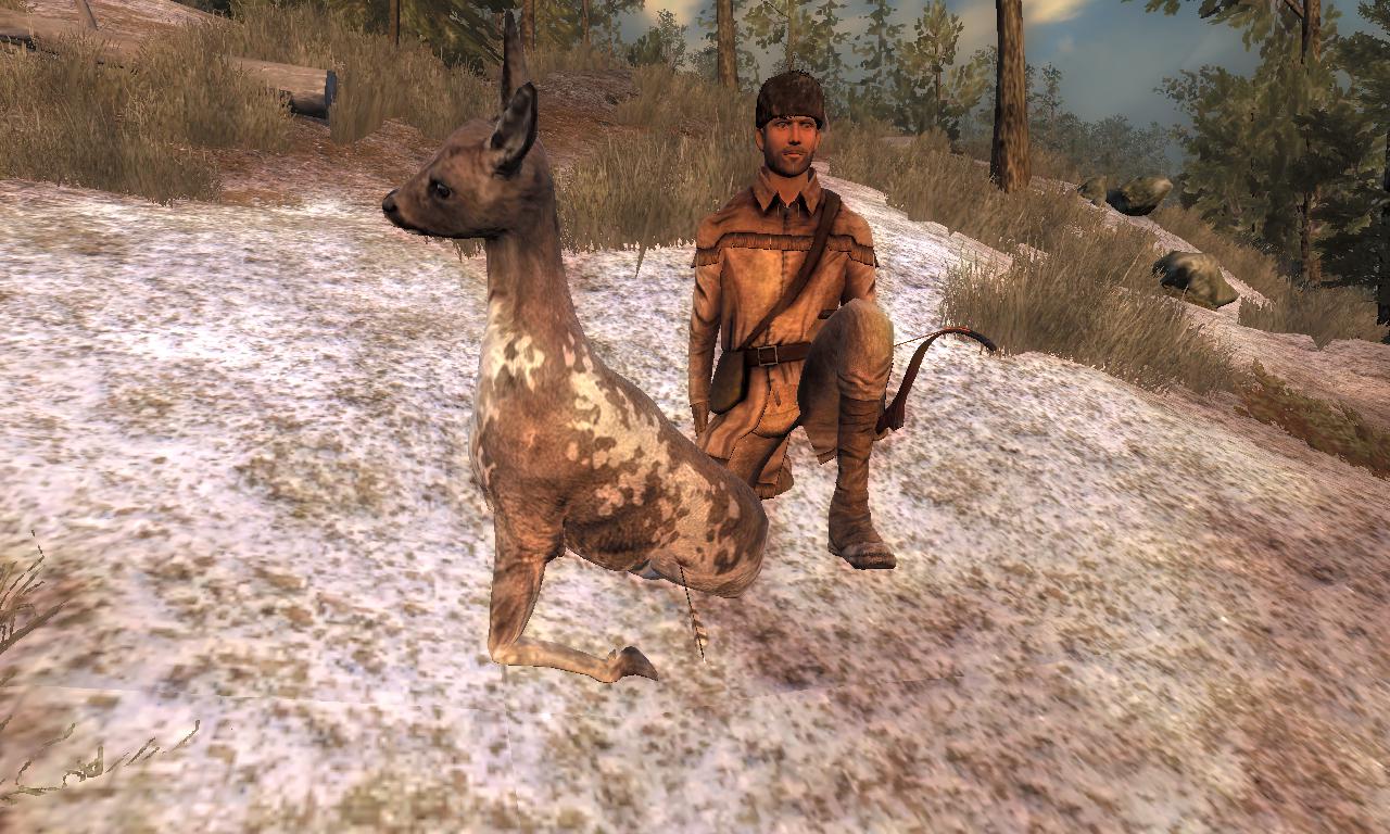 2015-01-08 2005 - Hemmeldal - Roe deer (0.0).jpg