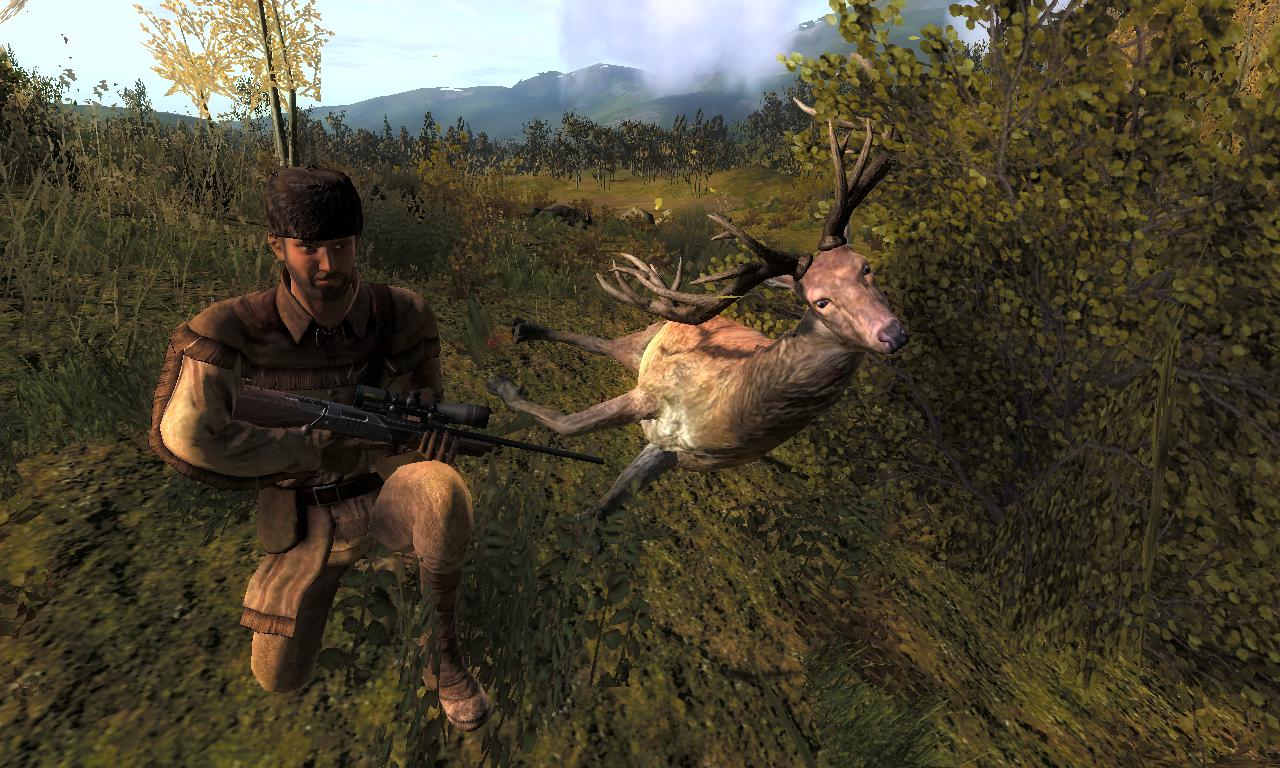 2015-01-13 0703 - Hirschfelden - Red deer (53.3).jpg