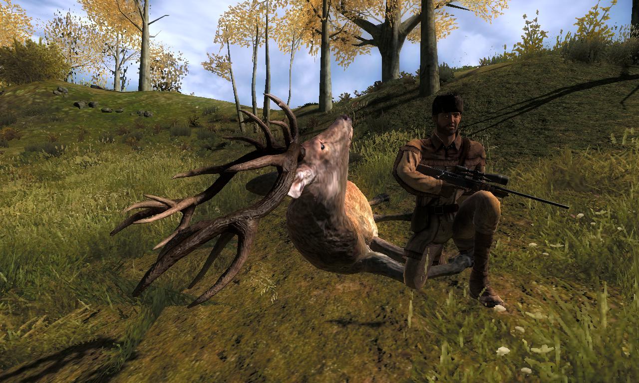 2015-01-13 0718 - Hirschfelden - Red deer (54.8).jpg