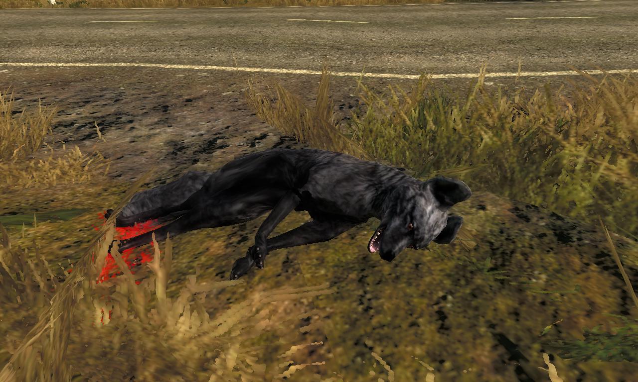 2015-01-17 1824 - Hirschfelden - Red fox (84.5).jpg