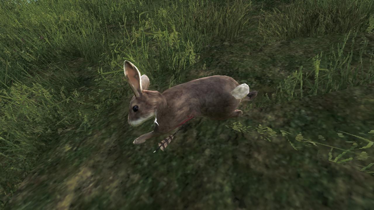 2015-02-01 1531 - Logger's Point - Cottontail Rabbit (60.2).jpg