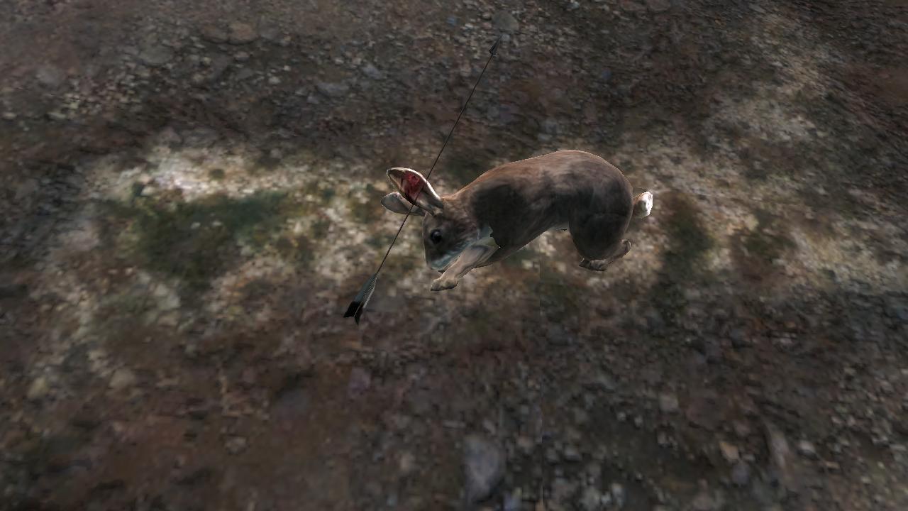 2015-02-02 2117 - Logger's Point - Cottontail Rabbit (49.5).jpg