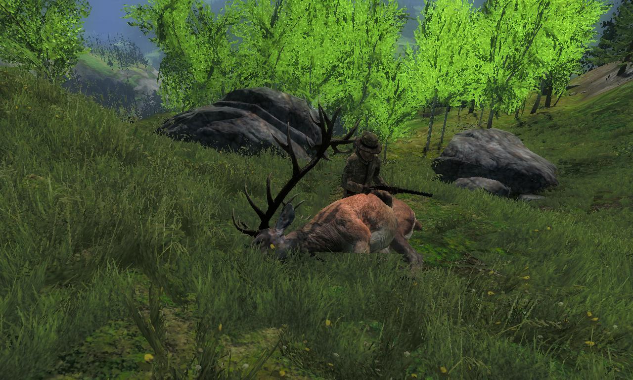 2014-09-30 2157 - Val-des-Bois - Red deer (76.0).jpg