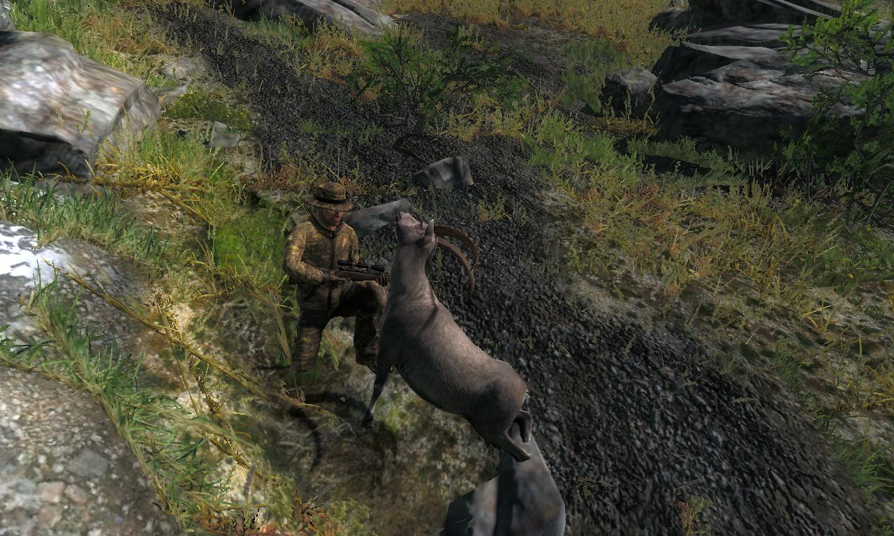 2014-09-29 1737 - Val-des-Bois - Alpine Ibex (18.7).jpg