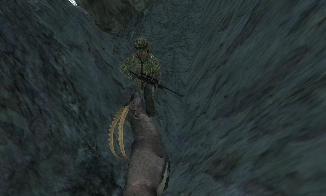 2014-10-01 1728 - Val-des-Bois - Alpine Ibex (36.0).jpg