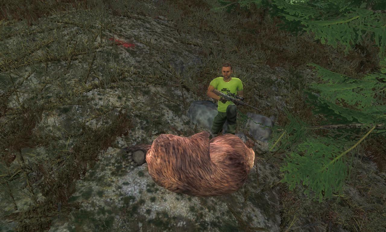 2014-10-04 0824 - Val-des-Bois - Brown bear (14.3).jpg