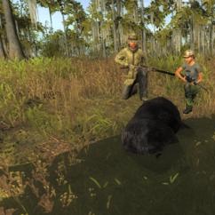 2014-09-28 0902 - Rougarou Bayou - Black bear (33.8)_croppedthumbnail.jpg