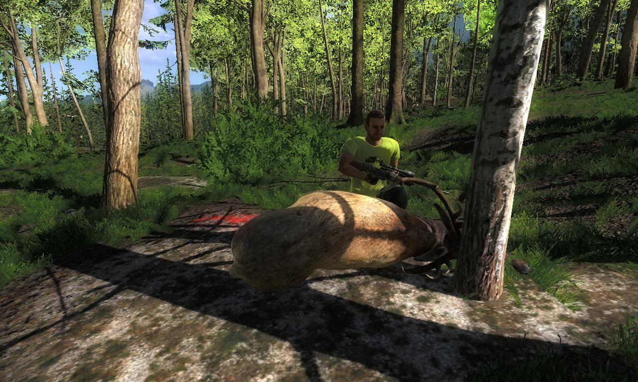 2014-10-05 1315 - Redfeather Falls - Roosevelt Elk (35.2).jpg