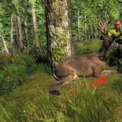 2014-10-05 1451 - Logger's Point - Whitetail deer (86.8)_croppedthumbnail.jpg