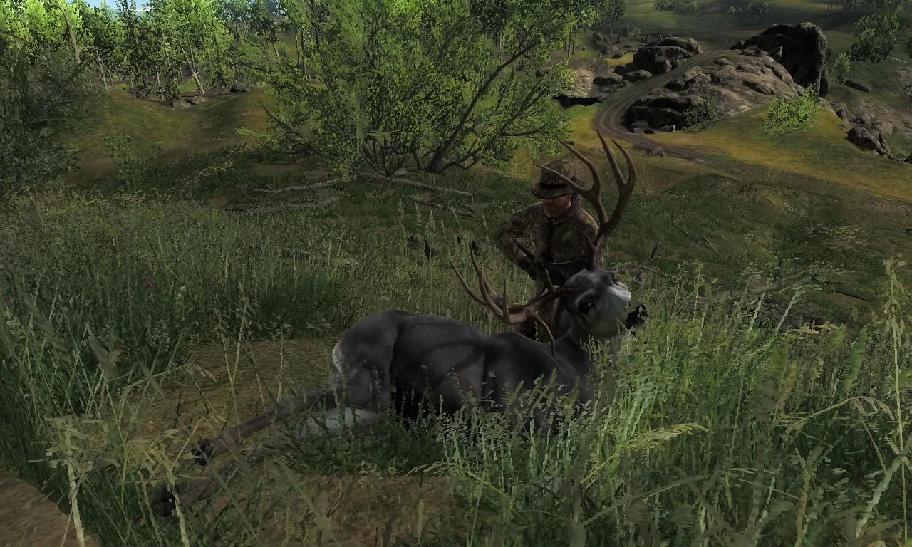 2014-09-22 2055 - Logger's Point - Mule deer (79.5).jpg