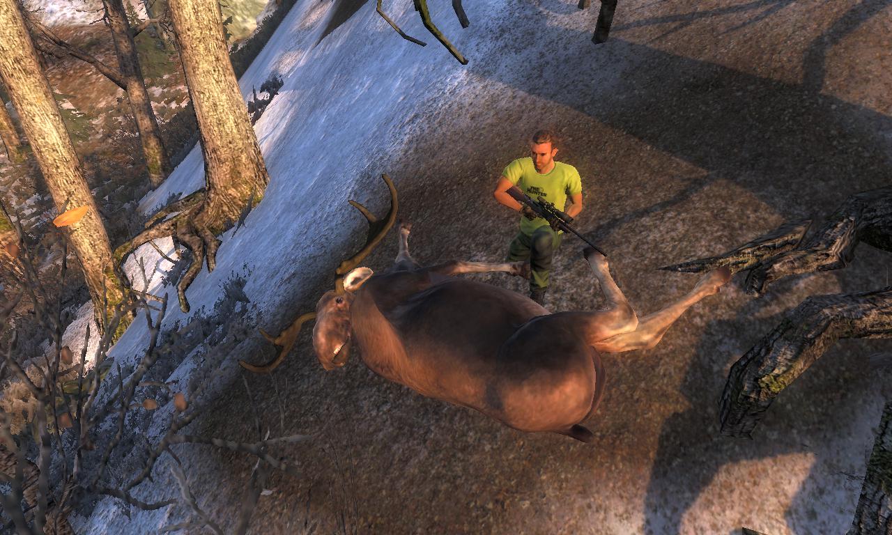 2014-10-06 1443 - Hemmeldal - Hirvi (17.9).jpg