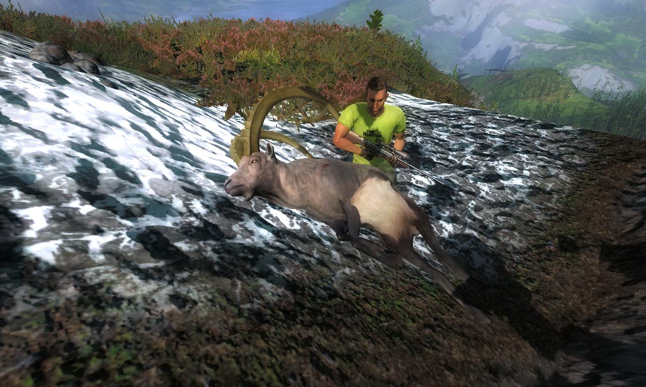 2014-10-06 1824 - Val-des-Bois - Alpine Ibex (65.9).jpg