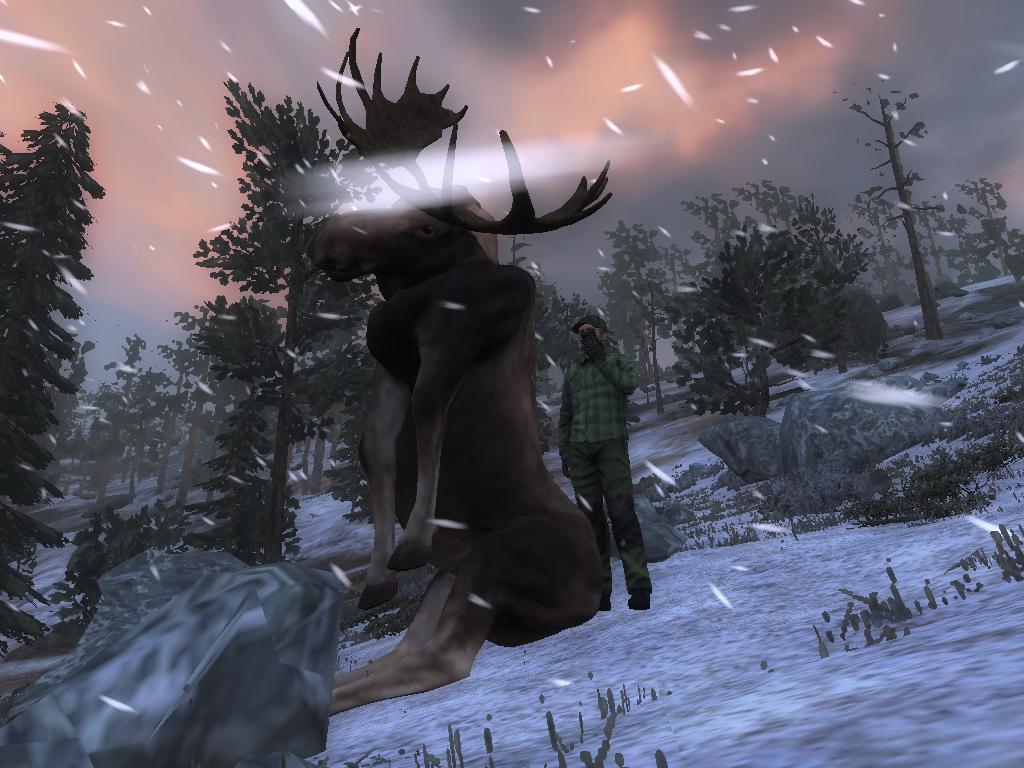 2014-02-17 2307 - Hemmeldal - Hirvi (44.5).jpg