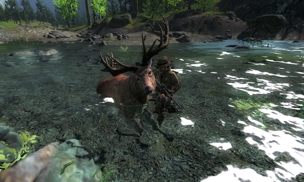 2014-10-08 0655 - Val-des-Bois - Red deer (55.5).jpg