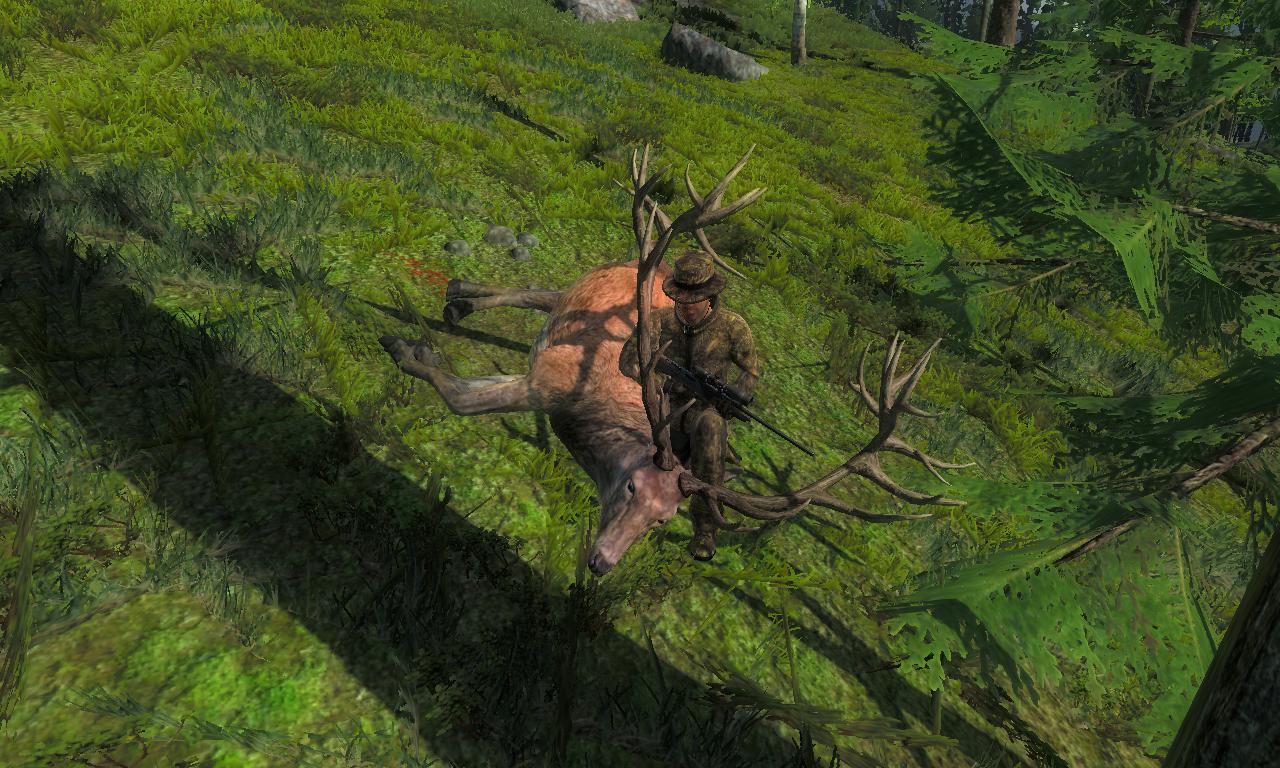 2014-10-08 0702 - Val-des-Bois - Red deer (78.7).jpg