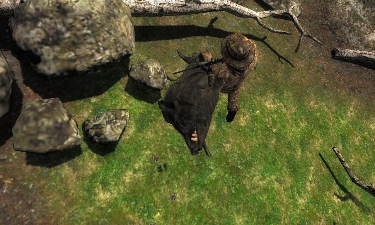 2014-10-11 1339 - Logger's Point - Feral hog (29.1).jpg