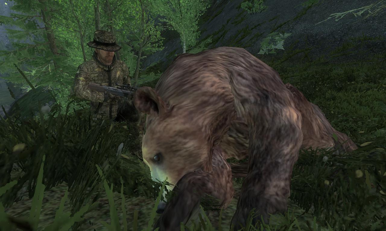 2014-10-10 0720 - Val-des-Bois - Brown bear (52.5).jpg