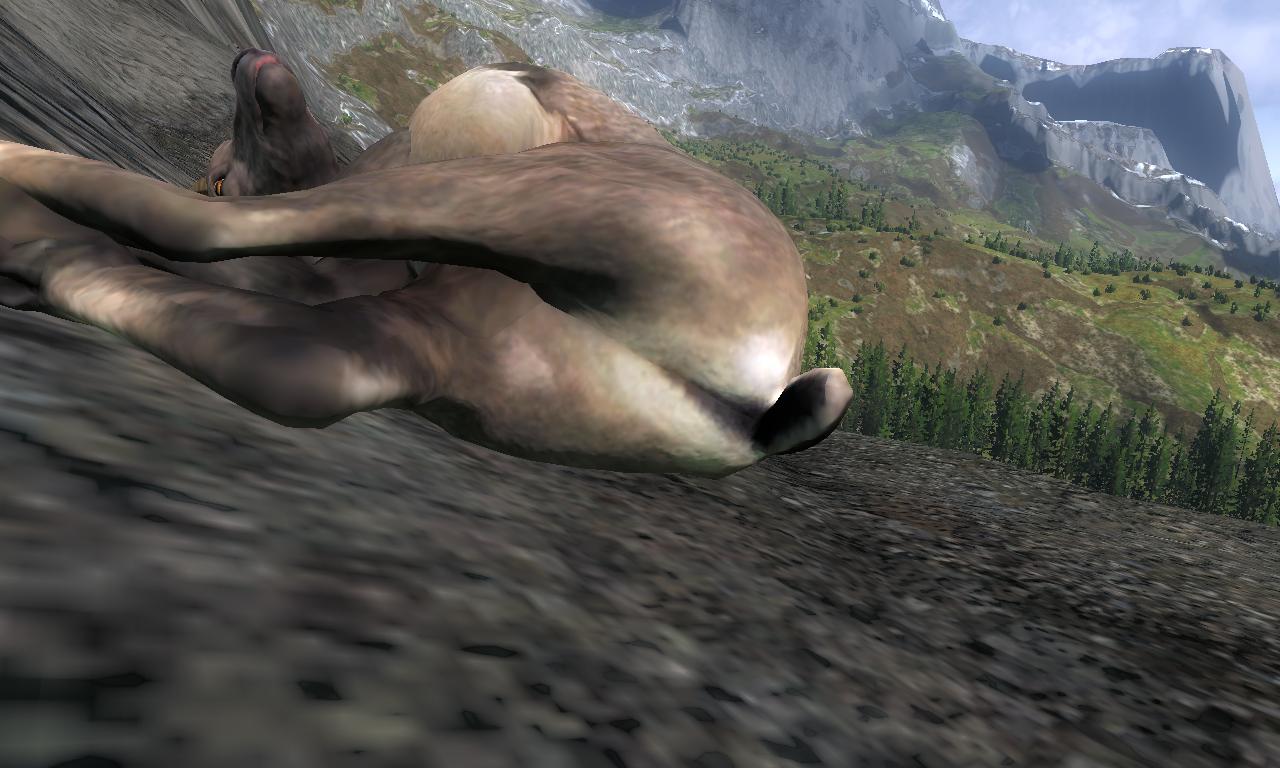 2014-10-11 2148 - Val-des-Bois - Alpine Ibex (4.2).jpg