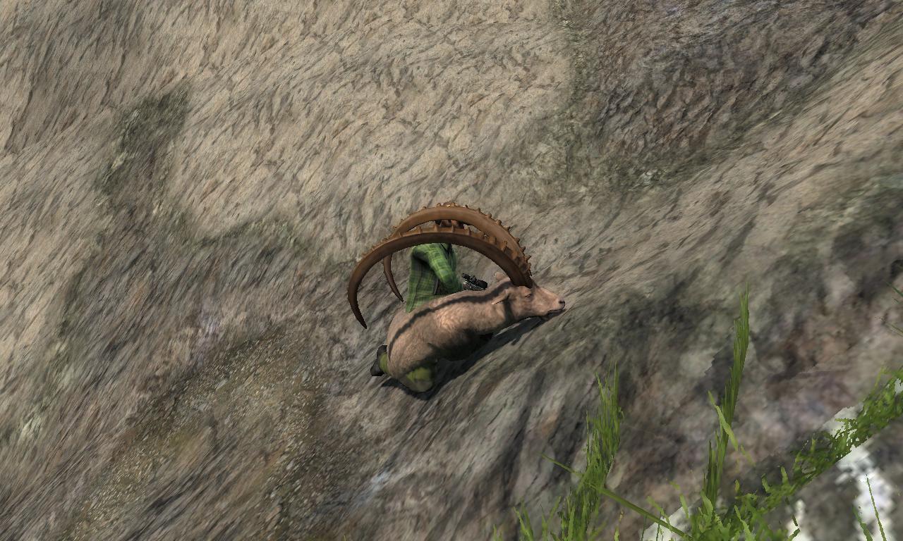 2014-10-09 1914 - Val-des-Bois - Vuorikauris (69.7).jpg