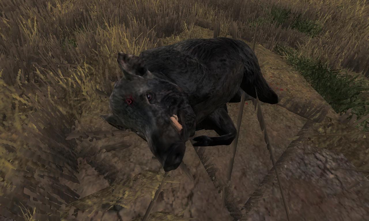 2014-10-13 2031 - Hirschfelden - Wild boar (31.4).jpg