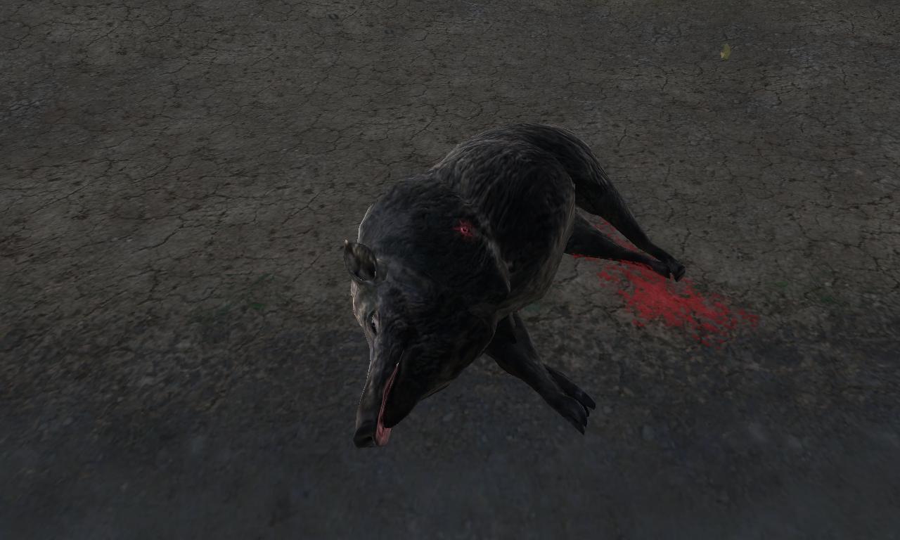 2014-10-13 2013 - Hirschfelden - Wild boar (7.7).jpg