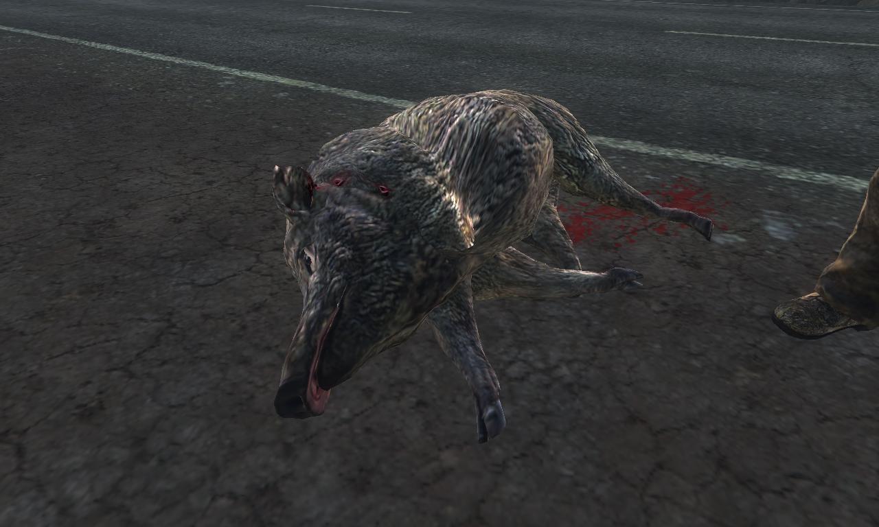 2014-10-13 2007 - Hirschfelden - Wild boar (8.9).jpg