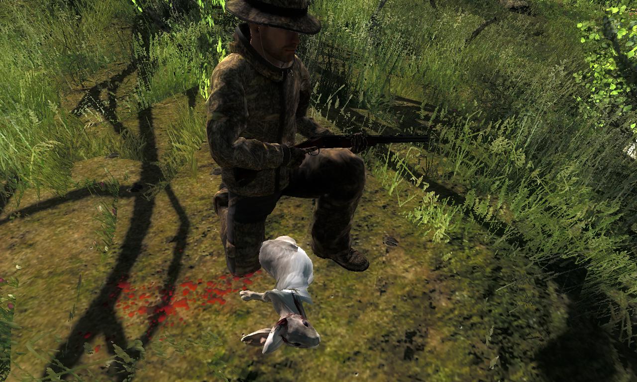 2014-10-12 0841 - Logger's Point - Cottontail Rabbit (44.1).jpg