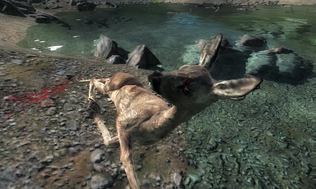 2014-10-14 1438 - Val-des-Bois - Roe deer (0.0).jpg