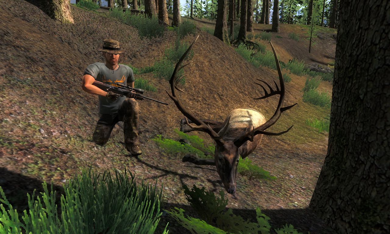 2014-10-24 1657 - Redfeather Falls - Roosevelt Elk (74.1).jpg