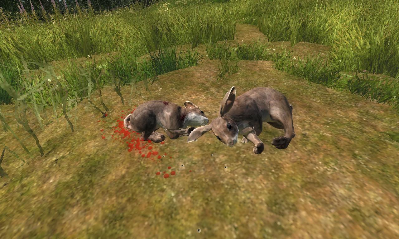 2014-11-09 1657 - Settler Creeks - Cottontail Rabbit (55.7).jpg