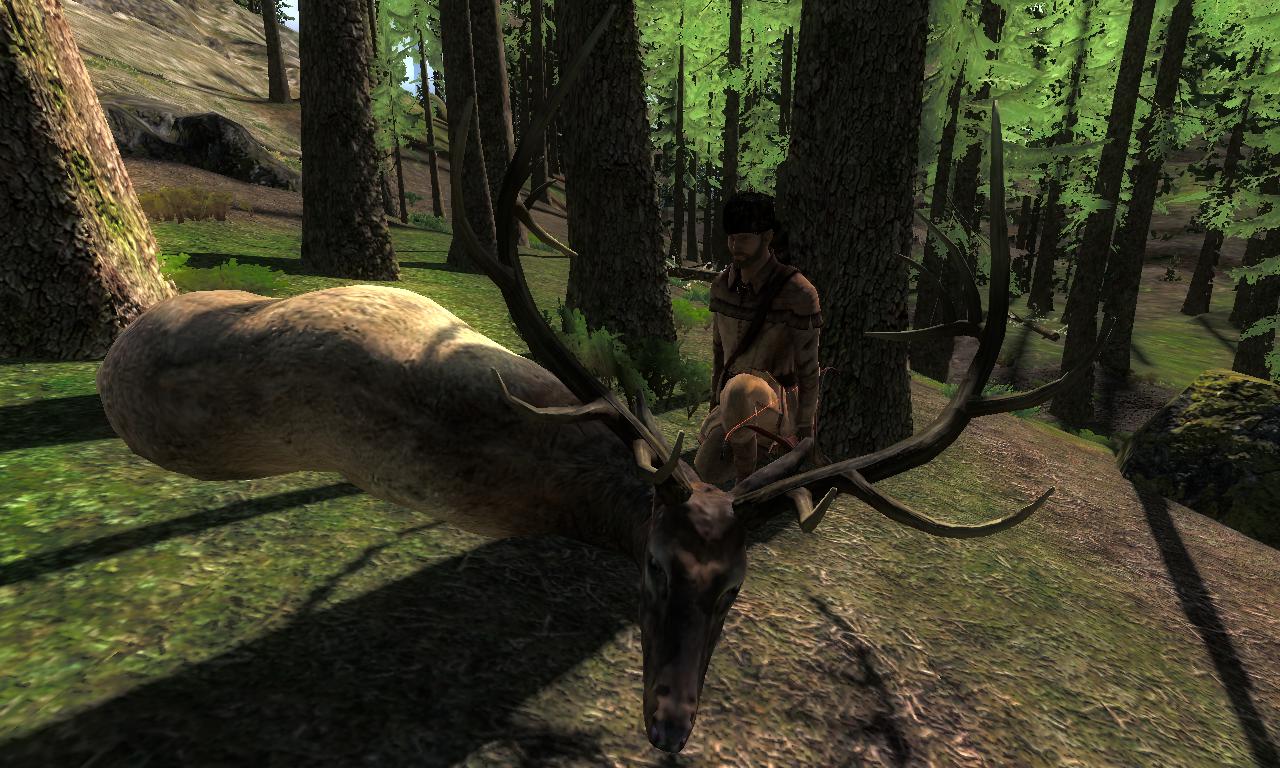 2014-11-29 1947 - Redfeather Falls - Roosevelt Elk (68.7).jpg