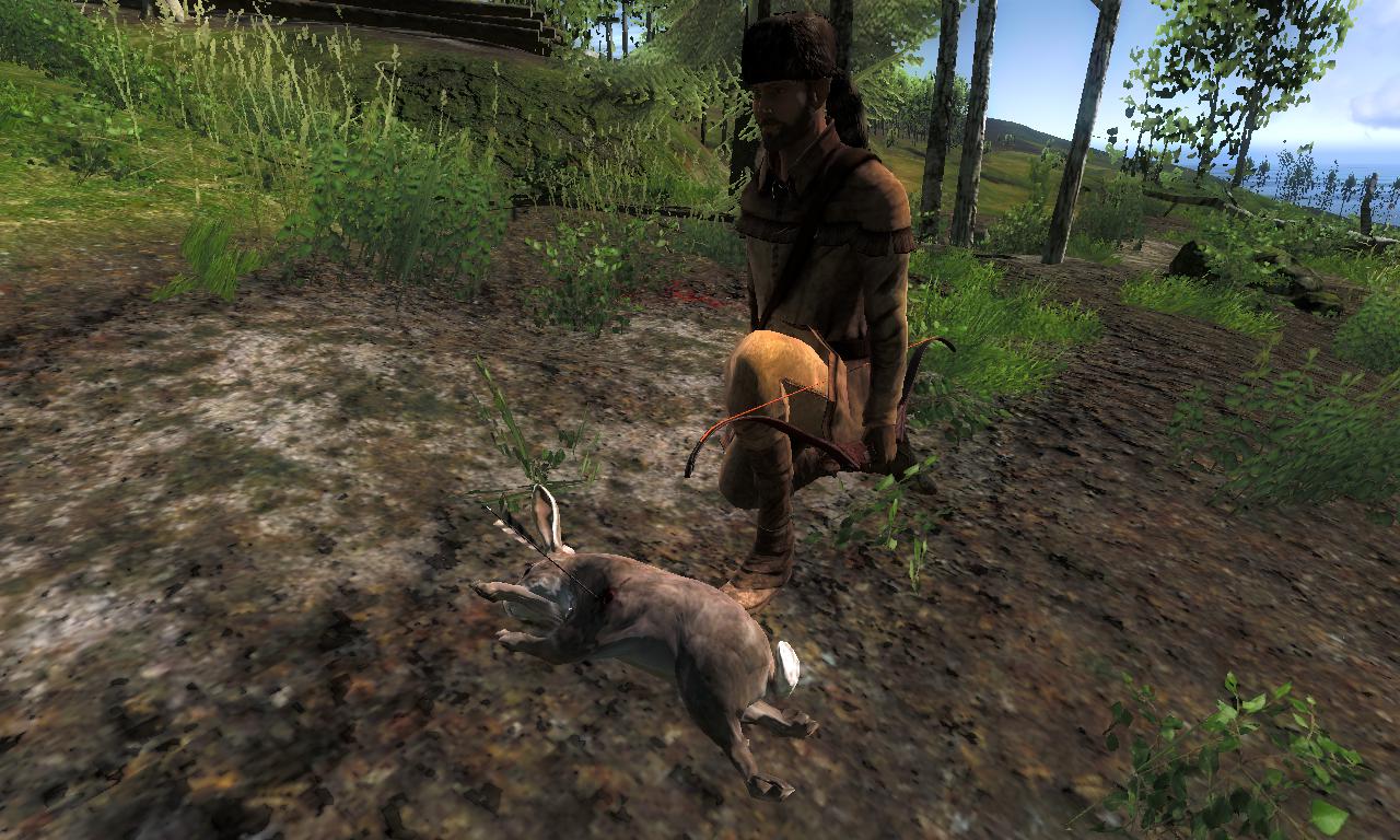 2014-11-30 1533 - Logger's Point - Cottontail Rabbit (54.8).jpg