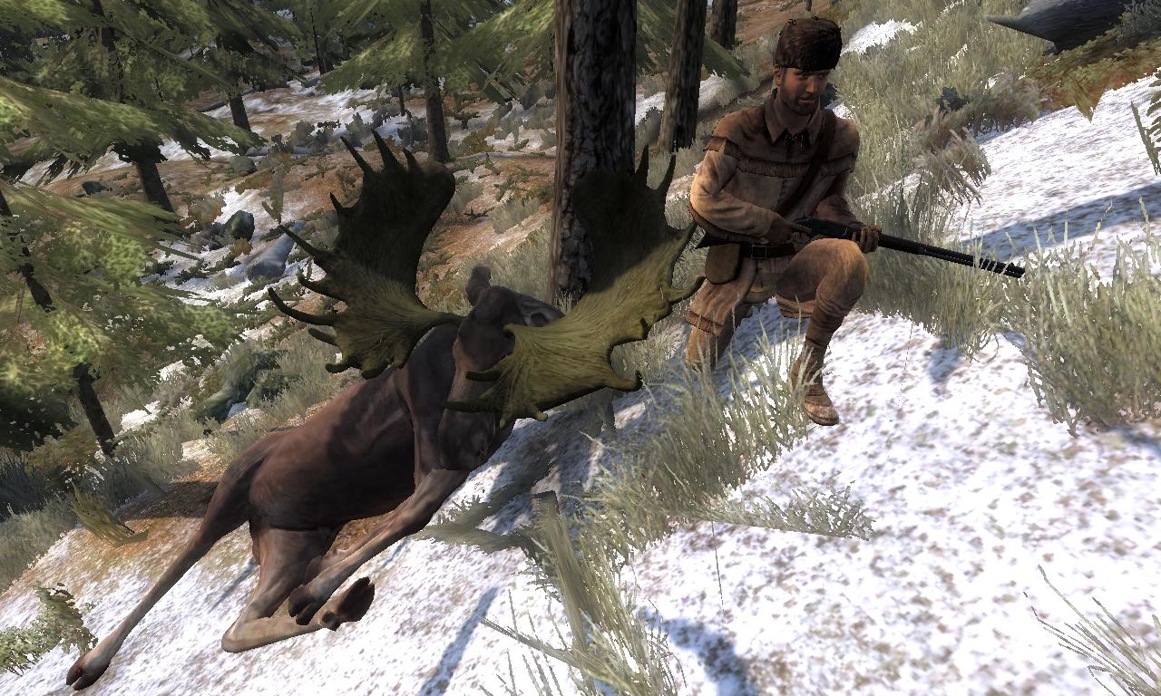 2014-12-05 1836 - Hemmeldal - Moose (60.7).jpg